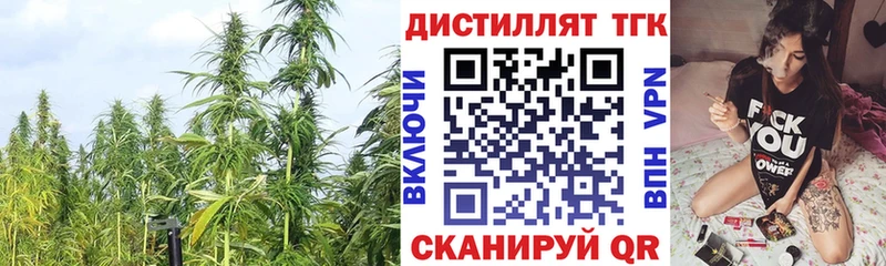 ТГК Wax  дарнет шоп  Болхов 